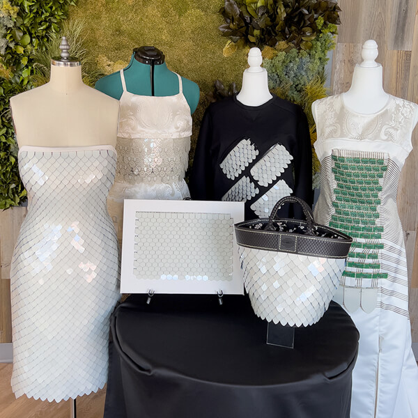 Engineering and Craftsmanship Behind the Dress Engineering and Craftsmanship Behind the Dress