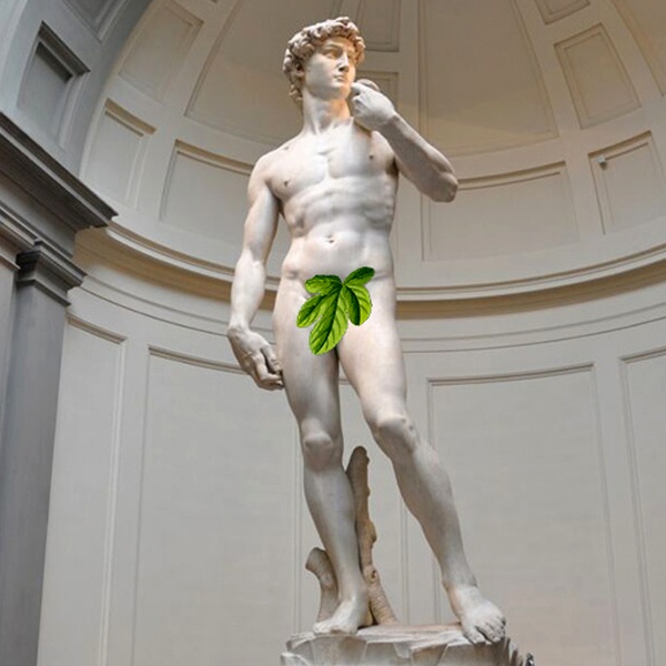 Michelangelo's David marble statue with plaster fig leaf added demonstrating modesty theory and shame concept Michelangelo's David marble statue with plaster fig leaf added demonstrating modesty theory and shame concept