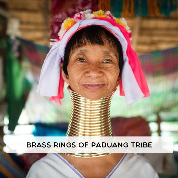 Paduang Kayan tribe women wearing brass coil rings for artificial neck elongation as cultural beauty practice Paduang Kayan tribe women wearing brass coil rings for artificial neck elongation as cultural beauty practice