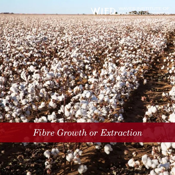 Large amounts of water being used for cotton fiber cultivation showing environmental impact of textile farming Large amounts of water being used for cotton fiber cultivation showing environmental impact of textile farming