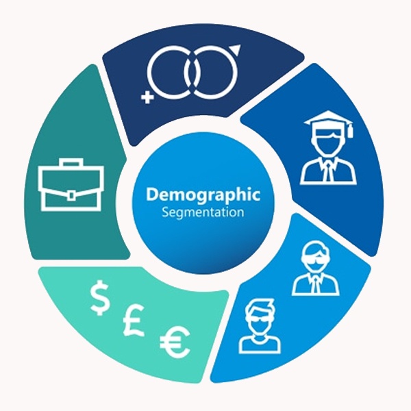 Fashion demographic segmentation chart displaying customer groups by age, gender, income level and education for targeted marketing Fashion demographic segmentation chart displaying customer groups by age, gender, income level and education for targeted marketing
